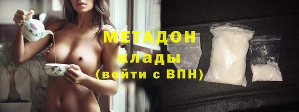 хмурый Алексин