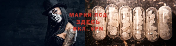 эйфоретик Алзамай