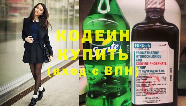 хмурый Алексин