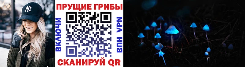 Галлюциногенные грибы GOLDEN TEACHER  Магадан 